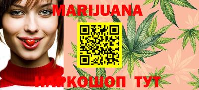 сатива Коммунар
