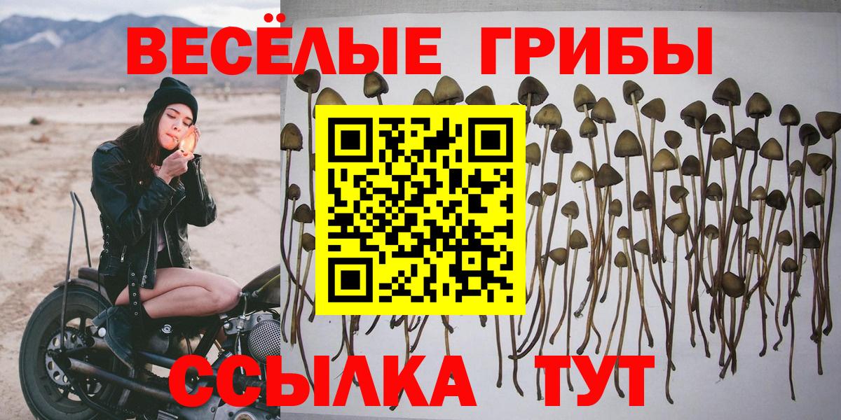 Галлюциногенные грибы GOLDEN TEACHER  Псилоцибиновые грибы прущие грибы  Каспийск  магазин  наркотиков  Вход с VPN 